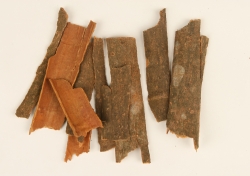 Quế thanh – Cinnamon stick