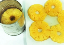 Dứa khoanh đóng lon – Canned pineapple slices