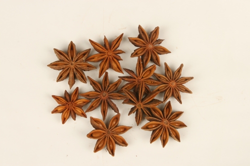Hoa hồi - Star aniseed